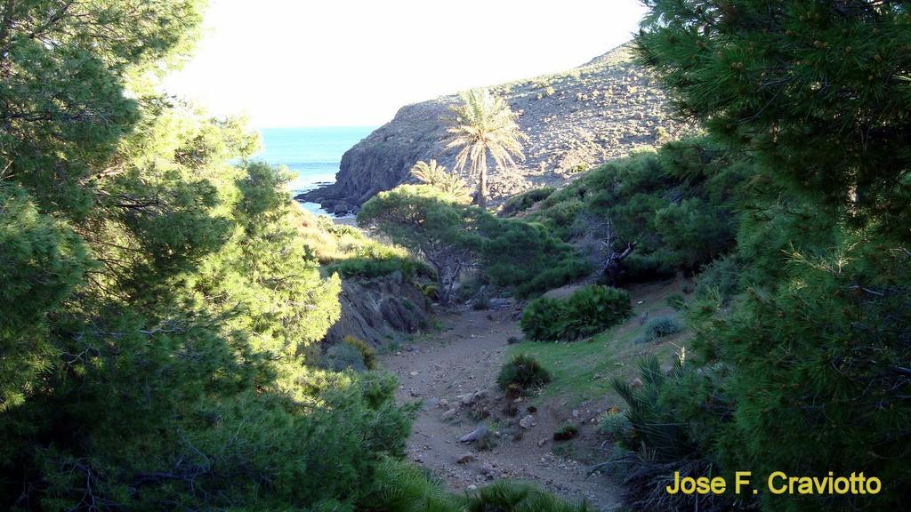 Apartamento Del Mar La Isleta Del Moroアパートメント エクステリア 写真